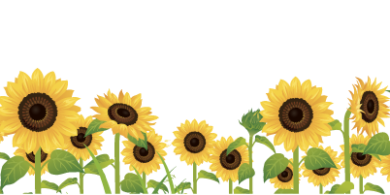 Himawari Footer Bg